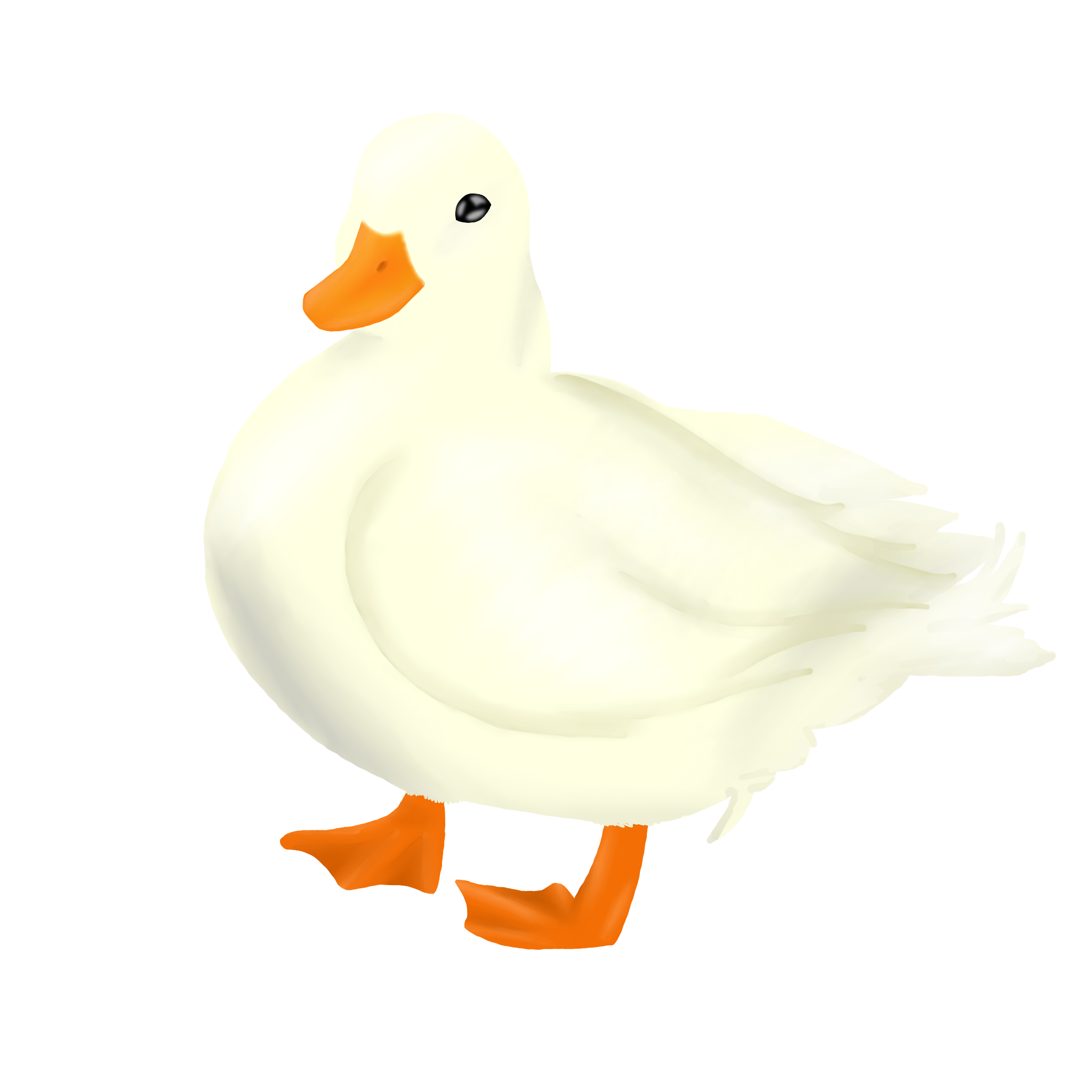 Gemalte Zwergente Ducksweb Logo